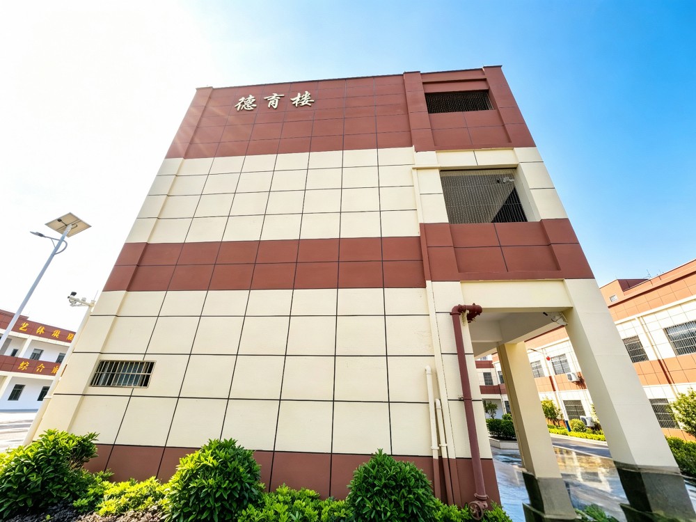 湛江叛逆小孩管教学校选择指南:从资质到服务的综合评估
