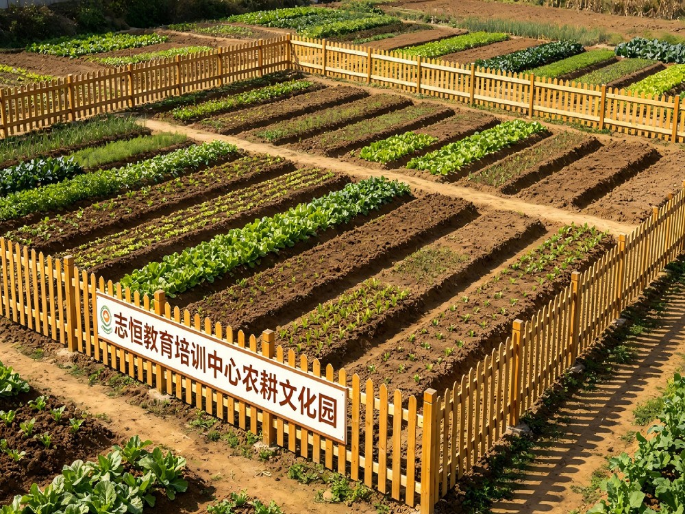 湛江叛逆青少年教育学校怎么选?志恒教育的系统化管教思路值得细看